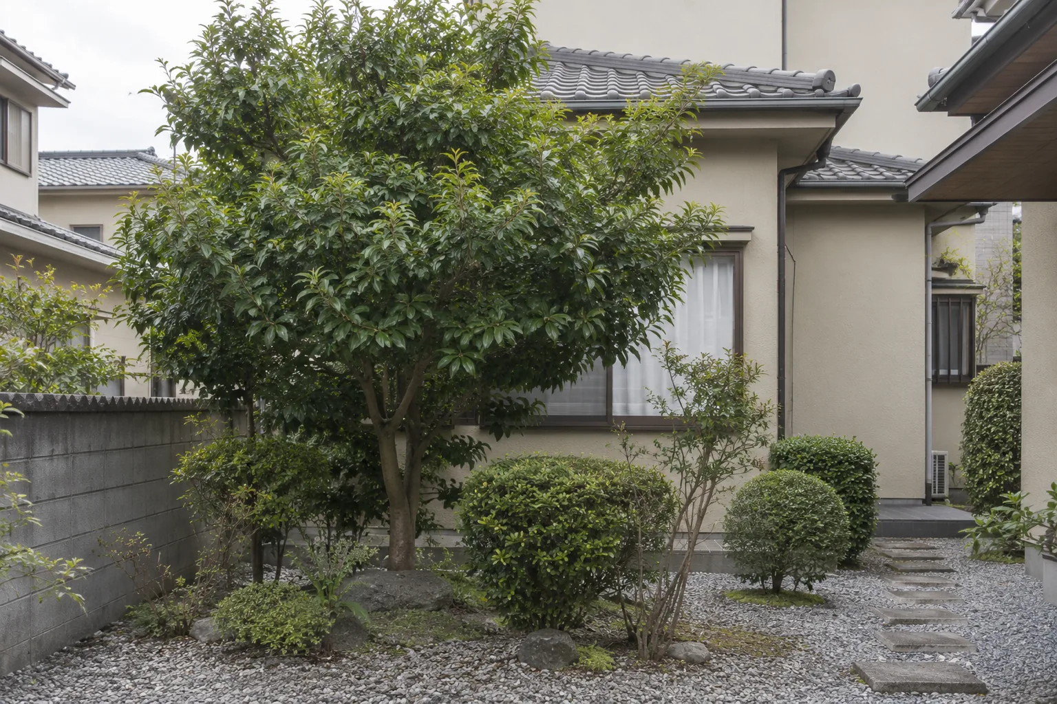 剪定前の伸びた庭木のAI生成サンプル写真